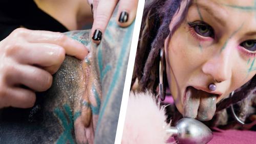 Z Filmz Originals lanza la escena 'Pet Play Dominatrix Controls Tattoo Cat-girl'